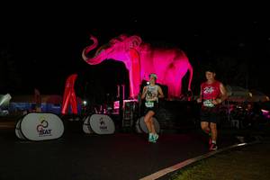 BIB: 
                            <button type="button" onclick="openModal(26543385)" class="btn btn-primary btn-sm float-right btn-popup" data-toggle="modal" data-target=".modal-high-quality">
                        <i class="fas fa-shopping-cart"></i> Add to Cart
                    </button>
                                            <button type="button" onclick="isThisMe(26543385, true)" class="btn btn-success btn-sm float-right btn-popup btn-isme hidden" data-toggle="tooltip" data-placement="bottom" title="นี่คือรูปของคุณใช่ไหม คลิกที่นี่เพื่อเอาเข้าอัลบั้ม">
                        <i class="fas fa-plus"></i> Add to album
                    </button>
                    <button type="button" onclick="isThisMe(26543385, false)" class="btn btn-warning btn-sm float-right btn-popup btn-isnotme hidden">
                        <i class="fas fa-ban"></i> Remove from album
                    </button>